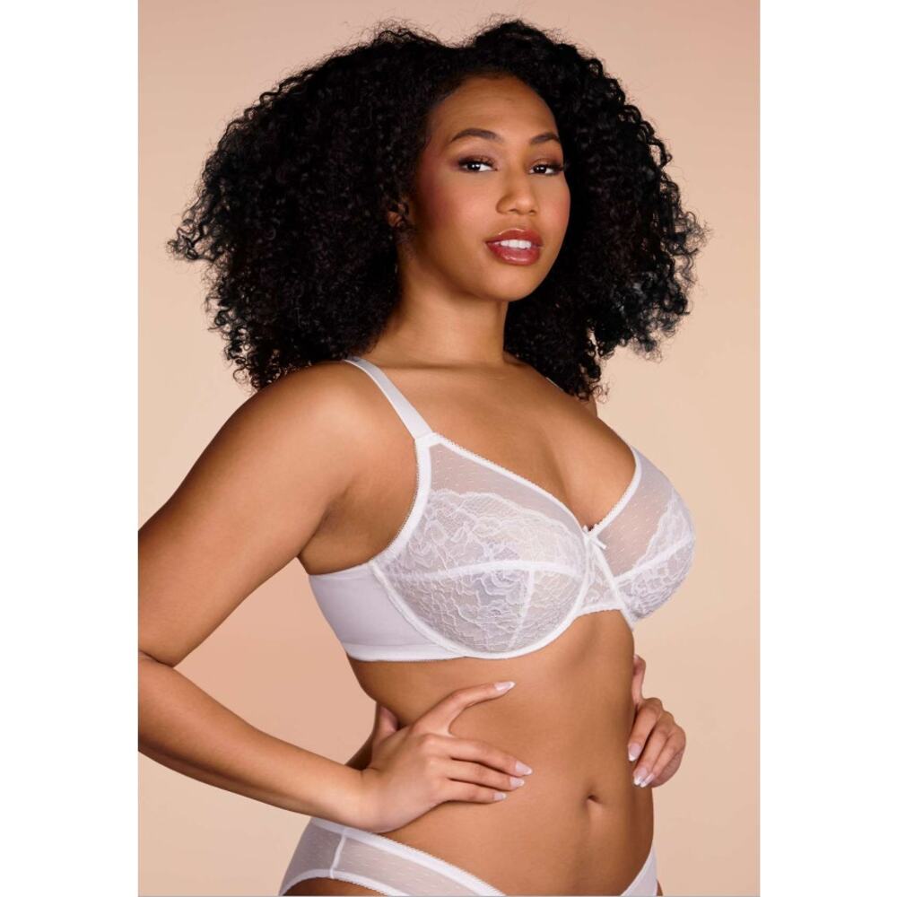 HSIA Enchante White Lace Underwire Bra 36DDD Full Coverage Sheer Mesh NWT